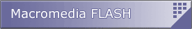 Flash Web Animation Work